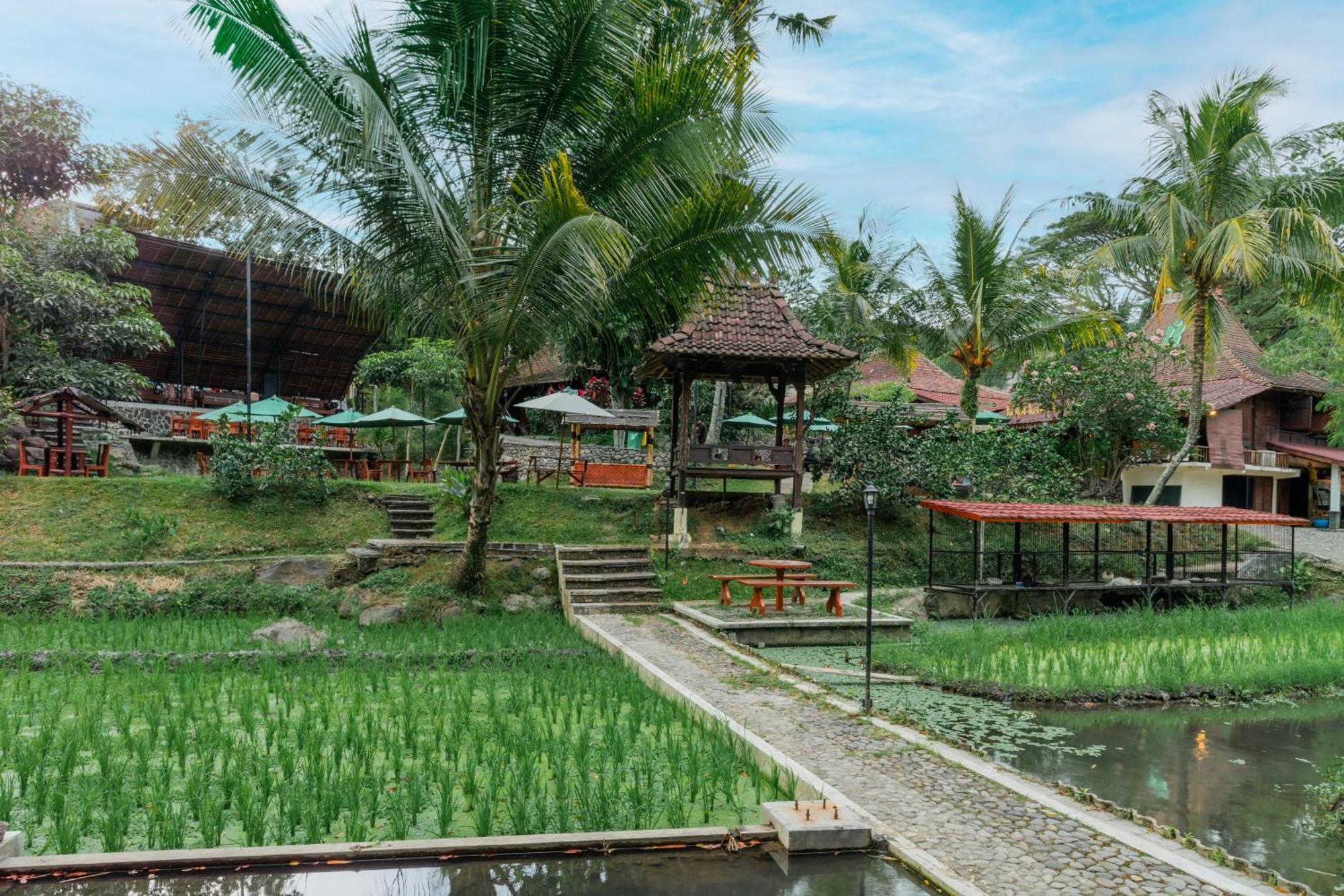 Padi Heritage Hotel Malang Esterno foto